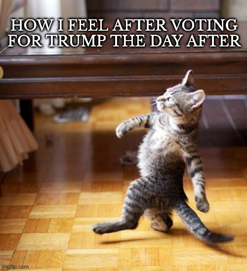 Like a little boss | HOW I FEEL AFTER VOTING FOR TRUMP THE DAY AFTER | image tagged in cat walking like a boss | made w/ Imgflip meme maker