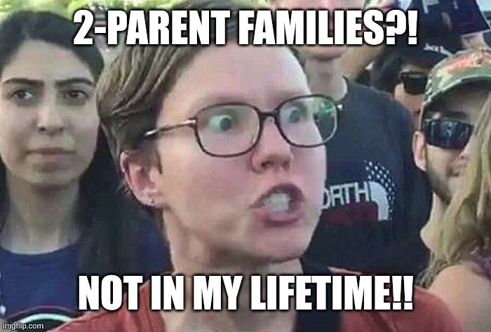 2-Parent Families | 2-PARENT FAMILIES?! NOT IN MY LIFETIME!! | image tagged in triggered liberal | made w/ Imgflip meme maker