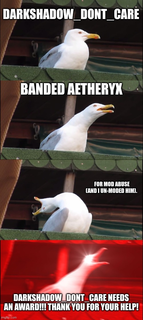 thank you Darkshadow_dont_care! and Aetheryx, you are no longer a mod. | DARKSHADOW_DONT_CARE; BANDED AETHERYX; FOR MOD ABUSE (AND I UN-MODED HIM). DARKSHADOW_DONT_CARE NEEDS AN AWARD!!! THANK YOU FOR YOUR HELP! | image tagged in memes,inhaling seagull | made w/ Imgflip meme maker