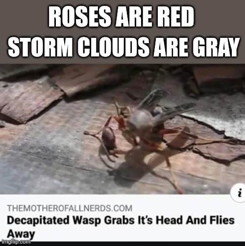 ROSES ARE RED; STORM CLOUDS ARE GRAY | image tagged in roses are red,wasp,head | made w/ Imgflip meme maker