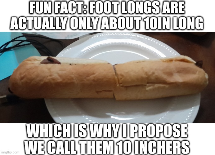 Spread this! | FUN FACT: FOOT LONGS ARE ACTUALLY ONLY ABOUT 10IN LONG; WHICH IS WHY I PROPOSE WE CALL THEM 10 INCHERS | image tagged in subway | made w/ Imgflip meme maker