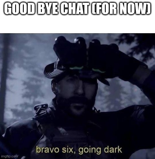 GOOD BYE CHAT (FOR NOW) | made w/ Imgflip meme maker