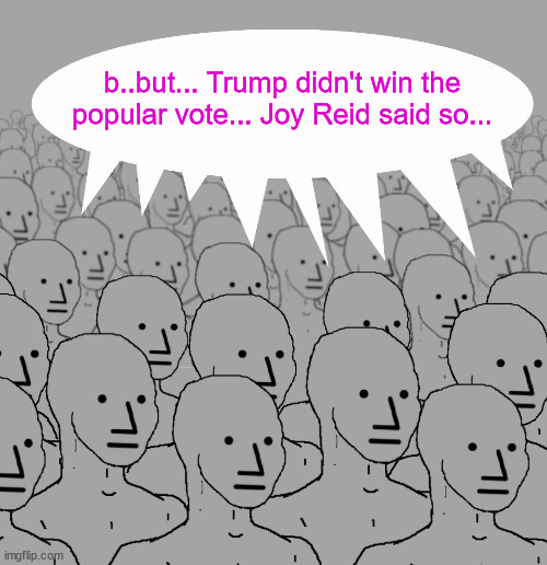 npc-crowd | b..but... Trump didn't win the popular vote... Joy Reid said so... | image tagged in npc-crowd | made w/ Imgflip meme maker