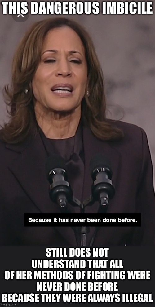 Unhinged Lunatic Wannabe Dictator | THIS DANGEROUS IMBICILE; STILL DOES NOT UNDERSTAND THAT ALL
OF HER METHODS OF FIGHTING WERE NEVER DONE BEFORE BECAUSE THEY WERE ALWAYS ILLEGAL | image tagged in kamala harris,donald trump,i love democracy,it's the law,the constitution | made w/ Imgflip meme maker