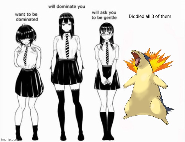 Ik im late | Diddled all 3 of them | image tagged in domination stats | made w/ Imgflip meme maker
