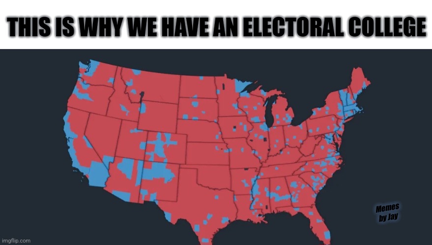 This | THIS IS WHY WE HAVE AN ELECTORAL COLLEGE; Memes by Jay | image tagged in politics,election | made w/ Imgflip meme maker