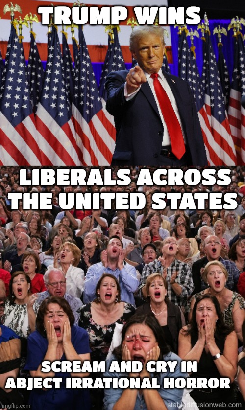 Donald Trump | TRUMP WINS; LIBERALS ACROSS THE UNITED STATES; SCREAM AND CRY IN ABJECT IRRATIONAL HORROR | image tagged in liberals | made w/ Imgflip meme maker