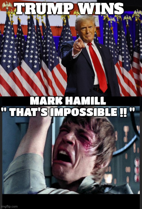 Donald Trump | TRUMP WINS; MARK HAMILL 
" THAT'S IMPOSSIBLE !! " | image tagged in mark hamill | made w/ Imgflip meme maker