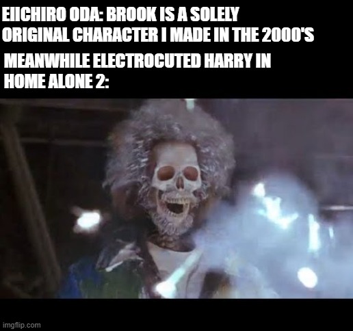 Home alone electric | EIICHIRO ODA: BROOK IS A SOLELY ORIGINAL CHARACTER I MADE IN THE 2000'S; MEANWHILE ELECTROCUTED HARRY IN
HOME ALONE 2: | image tagged in home alone electric | made w/ Imgflip meme maker