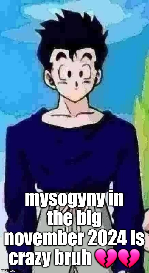got that ⧗ build | mysogyny in the big november 2024 is crazy bruh 💔💔 | image tagged in got that build | made w/ Imgflip meme maker