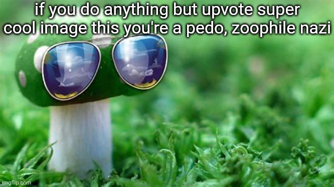 coolguy1984 | if you do anything but upvote super cool image this you're a pedo, zoophile nazi | image tagged in memes,funny,gifs,cats | made w/ Imgflip meme maker