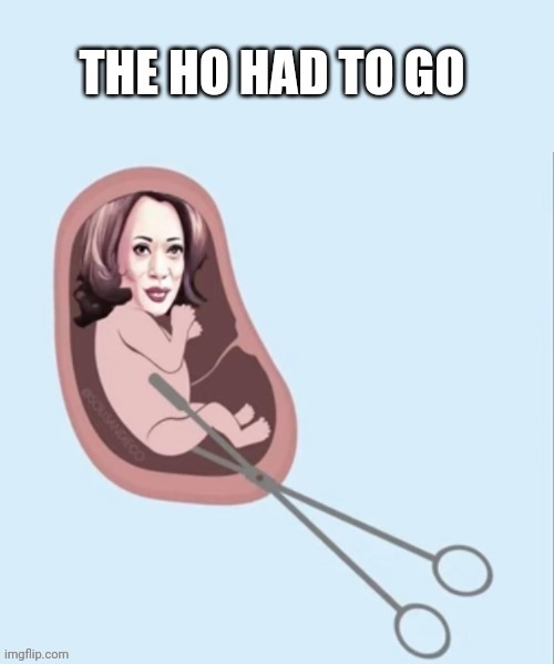 The Ho Had To Go | image tagged in lefty land is losing it | made w/ Imgflip meme maker