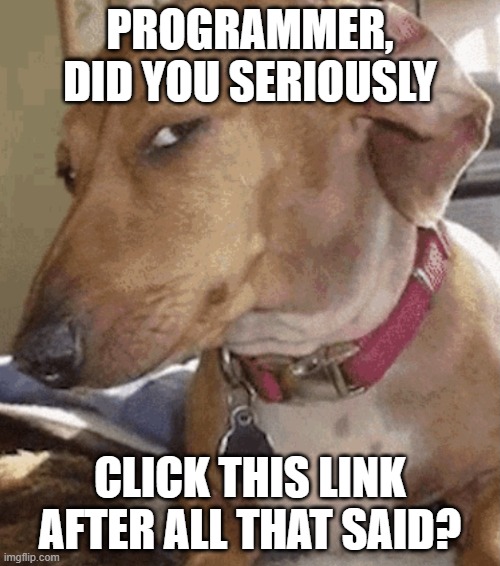 cibersecurity novice programmer | PROGRAMMER, DID YOU SERIOUSLY; CLICK THIS LINK AFTER ALL THAT SAID? | image tagged in side eye dog | made w/ Imgflip meme maker