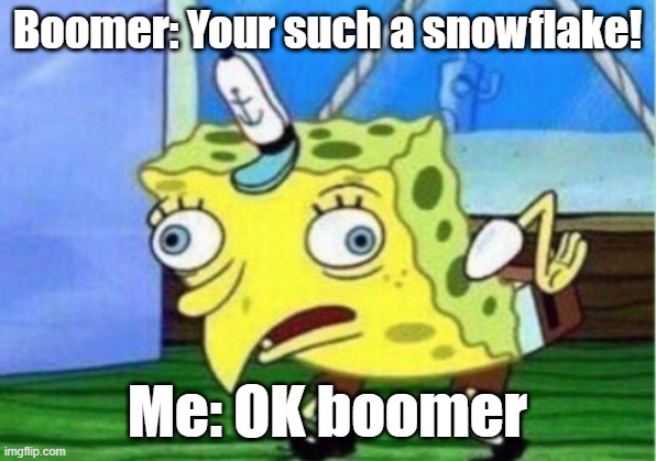 ok boomer ? | Boomer: Your such a snowflake! Me: OK boomer | image tagged in memes,mocking spongebob,ok boomer | made w/ Imgflip meme maker