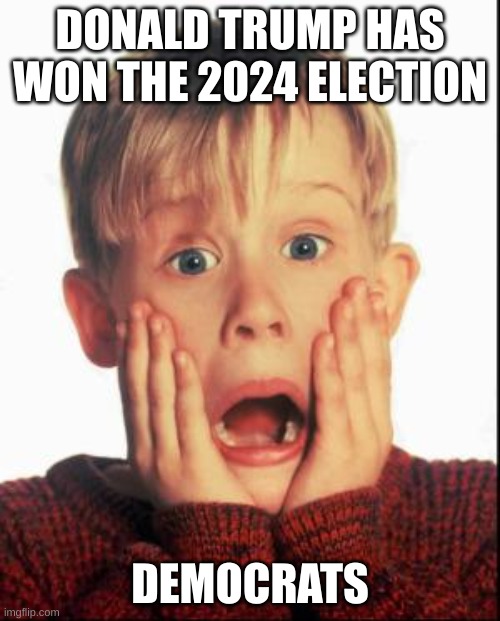 Trump's 2024 Re-Election | DONALD TRUMP HAS WON THE 2024 ELECTION; DEMOCRATS | image tagged in home alone kid,home alone,donald trump,2024,united states,politics | made w/ Imgflip meme maker