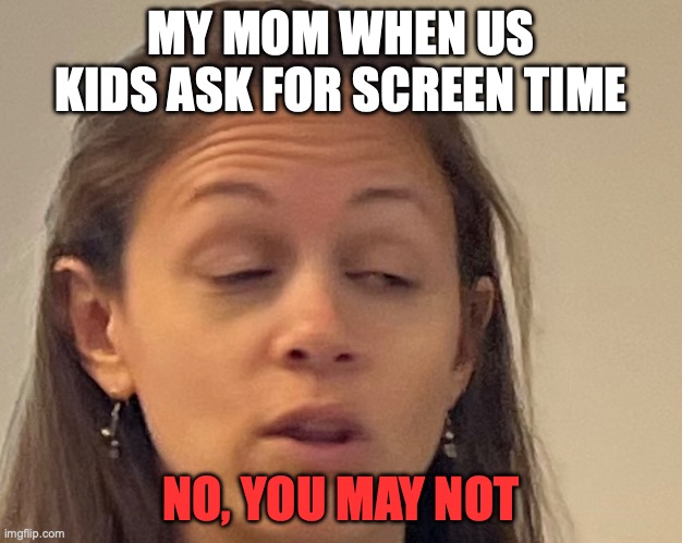 My mom | MY MOM WHEN US KIDS ASK FOR SCREEN TIME; NO, YOU MAY NOT | image tagged in mom,jokes,blue screen of death | made w/ Imgflip meme maker