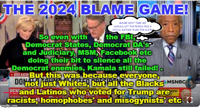 Kamala failed because everyone who did not vote for her was racist, sexist and misogynist! | THE 2024 BLAME GAME! Yarra Man; MAYBE NEXT TIME WE SHOULD LET THE PEOPLE PICK A POTUS, RATHER THAN THE ELITE! So even with        the FBI, Democrat States, Democrat DA's and Judiciary, MSM, Facebook etc doing their bit to silence all the Democrat enemies, Kamala still failed! . But this was because everyone, not just Whites, but all the Blacks and Latinos who voted for Trump are racists, homophobes' and misogynists' etc | image tagged in 2024 us election,msnbc,can,abc,facebook,fbi | made w/ Imgflip meme maker