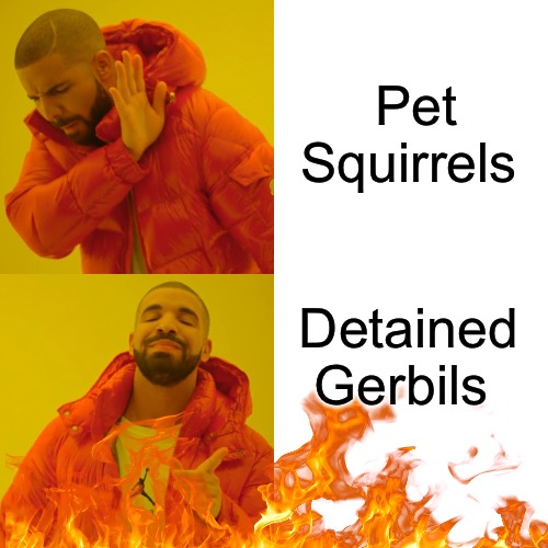 Police State Professional | Pet Squirrels; Detained Gerbils | image tagged in memes,drake hotline bling,police state,nwo police state,political memes,animal rights | made w/ Imgflip meme maker