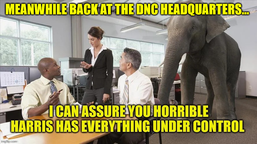 MEANWHILE BACK AT THE DNC HEADQUARTERS... | made w/ Imgflip meme maker