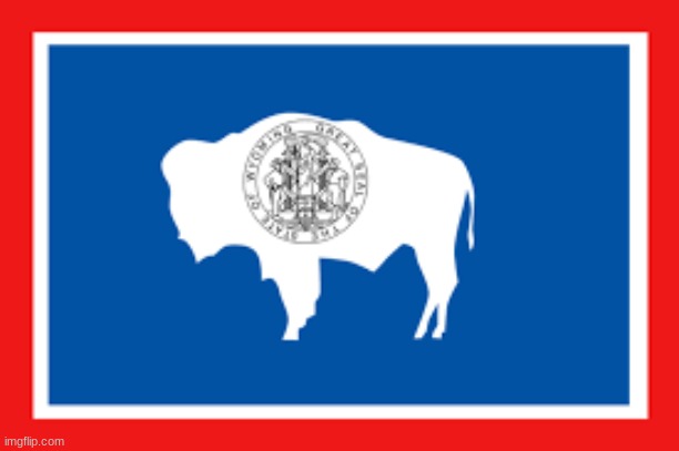 flag of wyoming | image tagged in flag of wyoming | made w/ Imgflip meme maker