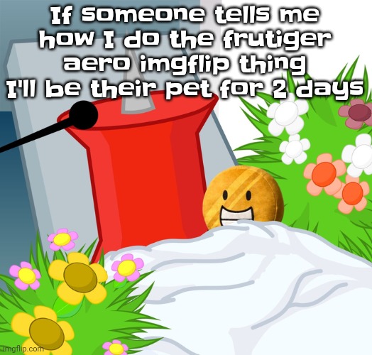 /srs | If someone tells me how I do the frutiger aero imgflip thing I'll be their pet for 2 days | image tagged in no limbs pin | made w/ Imgflip meme maker