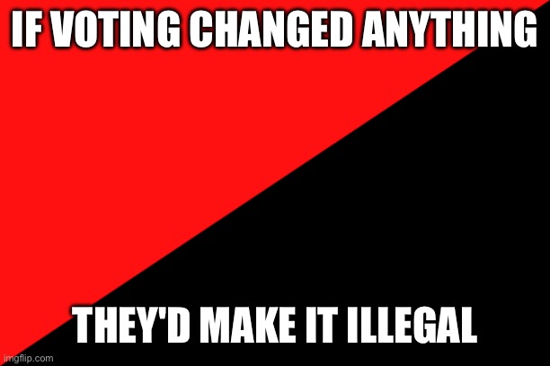 They'd make it illegal | IF VOTING CHANGED ANYTHING; THEY'D MAKE IT ILLEGAL | image tagged in ancom flag,voting,anarchism,communism | made w/ Imgflip meme maker