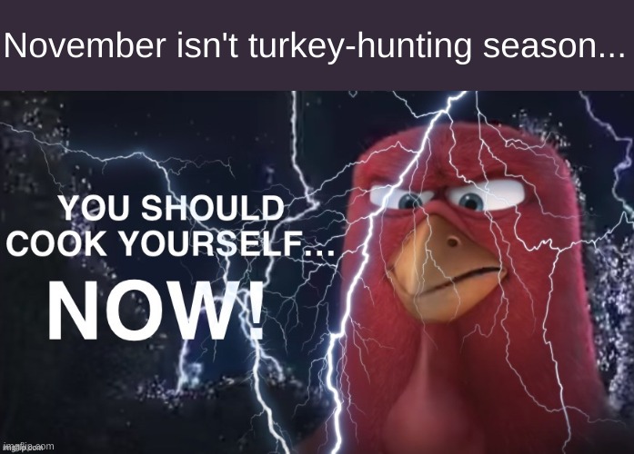 November isn't turkey season in hunting... | November isn't turkey-hunting season... | image tagged in you should cook yourself now,turkey,thanksgiving,hunting,holidays | made w/ Imgflip meme maker