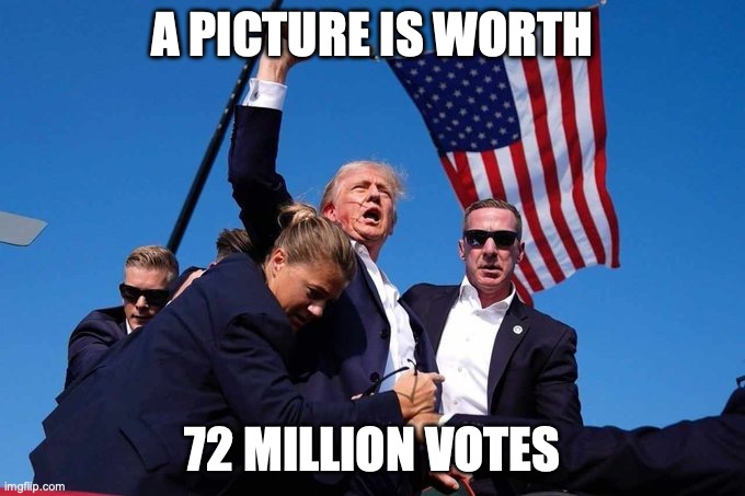 A picture is worth... | A PICTURE IS WORTH; 72 MILLION VOTES | image tagged in trump shot | made w/ Imgflip meme maker