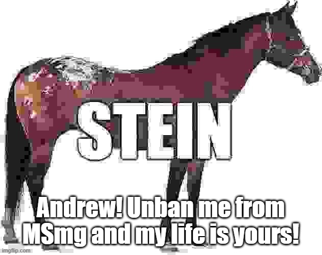 stein | Andrew! Unban me from MSmg and my life is yours! | image tagged in stein | made w/ Imgflip meme maker