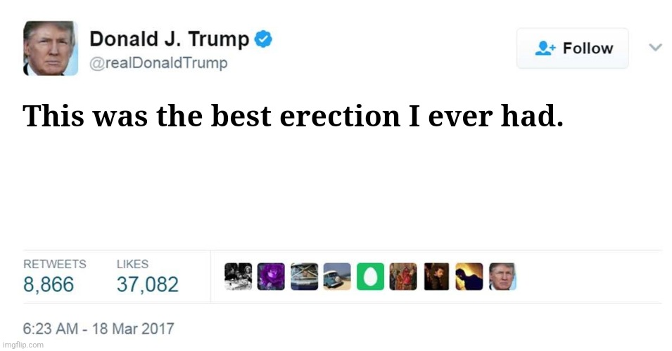 Covfefe | This was the best erection I ever had. | image tagged in trump tweet blank,trump,elections | made w/ Imgflip meme maker