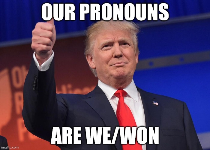 We/Won | OUR PRONOUNS; ARE WE/WON | image tagged in donald trump,we won,pronouns,president trump,presidential race | made w/ Imgflip meme maker