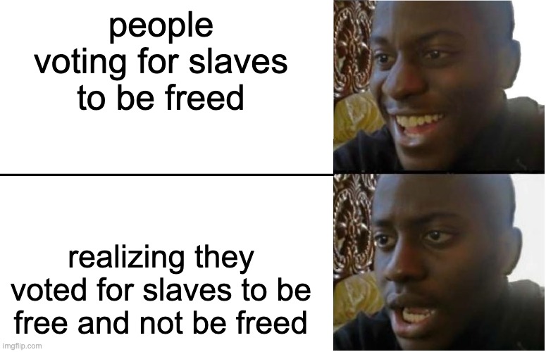 wording mistakes | people voting for slaves to be freed; realizing they voted for slaves to be free and not be freed | image tagged in disappointed black guy | made w/ Imgflip meme maker