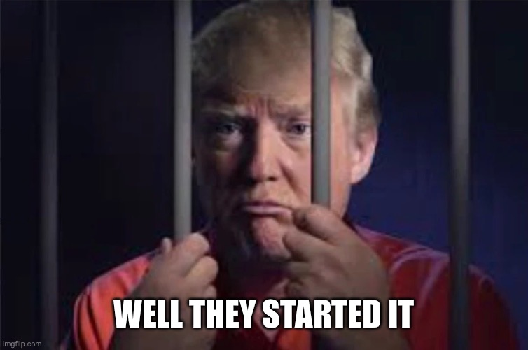 Trump: Well, they started it! | WELL THEY STARTED IT | image tagged in trump well they started it | made w/ Imgflip meme maker