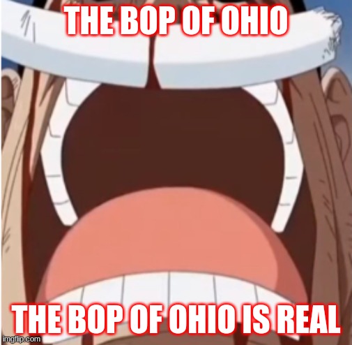 Bop Of Ohio | THE BOP OF OHIO; THE BOP OF OHIO IS REAL | image tagged in one piece is real | made w/ Imgflip meme maker