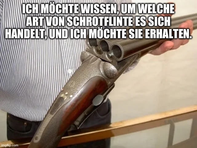 ICH MÖCHTE WISSEN, UM WELCHE ART VON SCHROTFLINTE ES SICH HANDELT, UND ICH MÖCHTE SIE ERHALTEN. | made w/ Imgflip meme maker