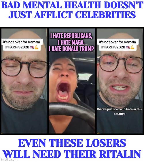 Mental Health Crisis in America | BAD MENTAL HEALTH DOESN'T JUST AFFLICT CELEBRITIES; I HATE REPUBLICANS, I HATE MAGA. I HATE DONALD TRUMP; EVEN THESE LOSERS WILL NEED THEIR RITALIN | image tagged in lefties losing it | made w/ Imgflip meme maker