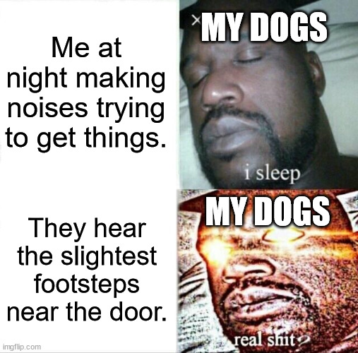 Another thing that just happened that inspired me to make a meme. | Me at night making noises trying to get things. MY DOGS; MY DOGS; They hear the slightest footsteps near the door. | image tagged in memes,sleeping shaq,pets,dogs | made w/ Imgflip meme maker