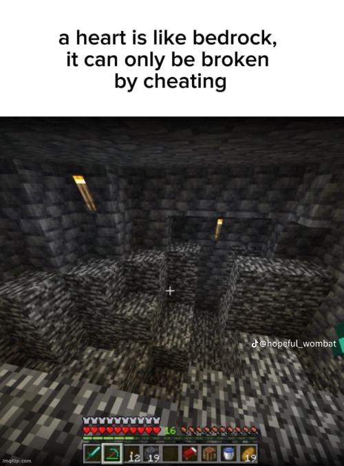 image tagged in minecraft,memes | made w/ Imgflip meme maker