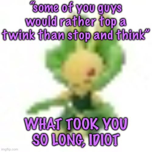 deleting this when you all cook me to pieces | “some of you guys would rather top a twink than stop and think”; WHAT TOOK YOU SO LONG, IDIOT | image tagged in 144p leavanny | made w/ Imgflip meme maker