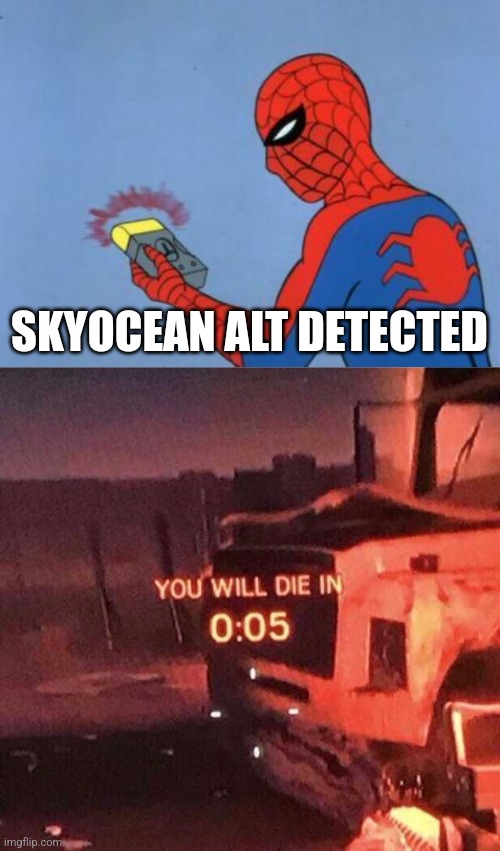 SKYOCEAN ALT DETECTED | image tagged in spiderman detector,you will die in 0 05 | made w/ Imgflip meme maker