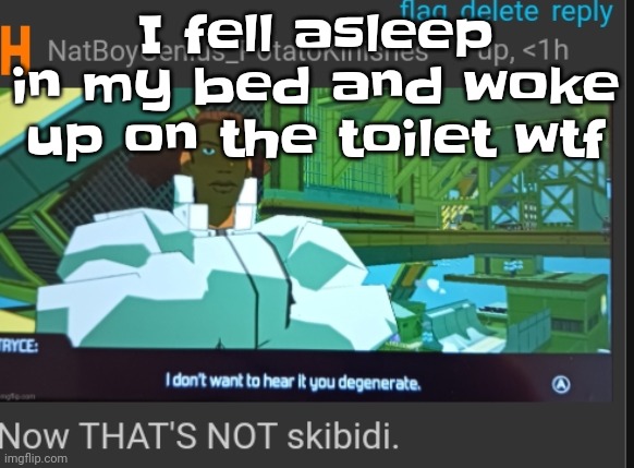 Like dude | I fell asleep in my bed and woke up on the toilet wtf | image tagged in now that's not skibidi | made w/ Imgflip meme maker