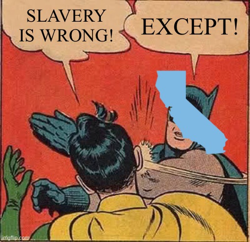 Seriously, California? | SLAVERY IS WRONG! EXCEPT! | image tagged in memes,batman slapping robin | made w/ Imgflip meme maker