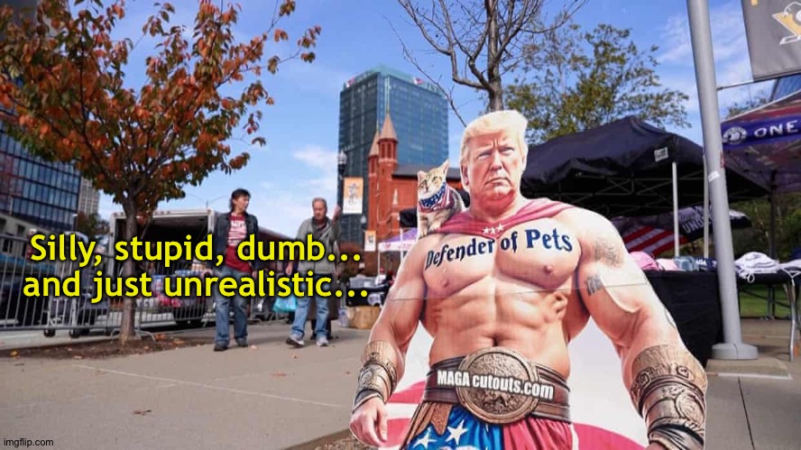 Silly | Silly, stupid, dumb...
and just unrealistic... | image tagged in trump cutout | made w/ Imgflip meme maker