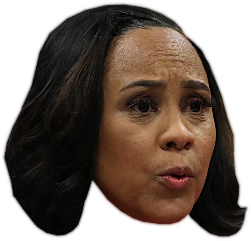 FANI WILLIS HEAD Blank Meme Template