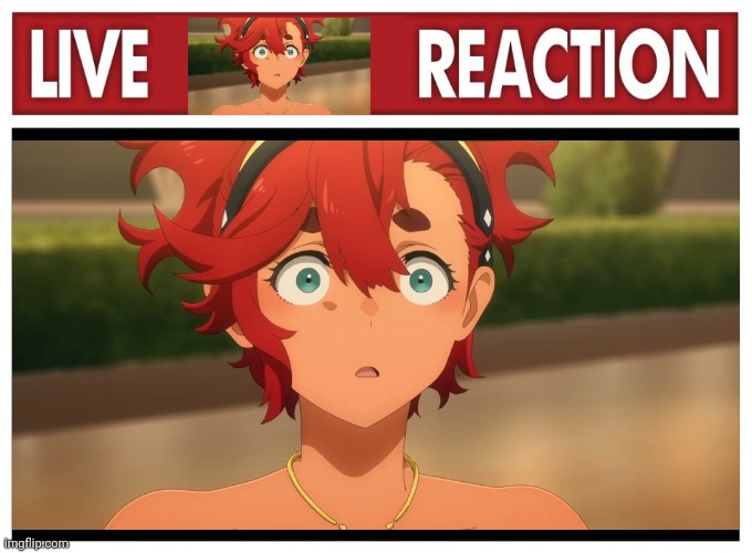 Live reaction | image tagged in live reaction | made w/ Imgflip meme maker