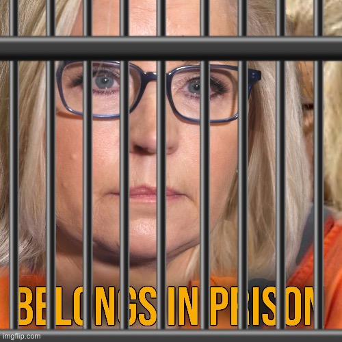 Liz Cheney belongs in prison! | image tagged in criminal,fraud,prison,rino | made w/ Imgflip meme maker