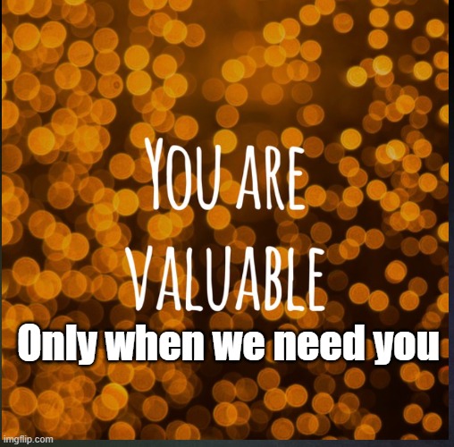 You are valuable | Only when we need you | image tagged in you are valuable | made w/ Imgflip meme maker