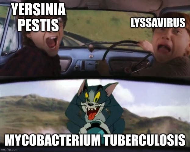 Crazy Tom Car | YERSINIA PESTIS; LYSSAVIRUS; MYCOBACTERIUM TUBERCULOSIS | image tagged in crazy tom car | made w/ Imgflip meme maker