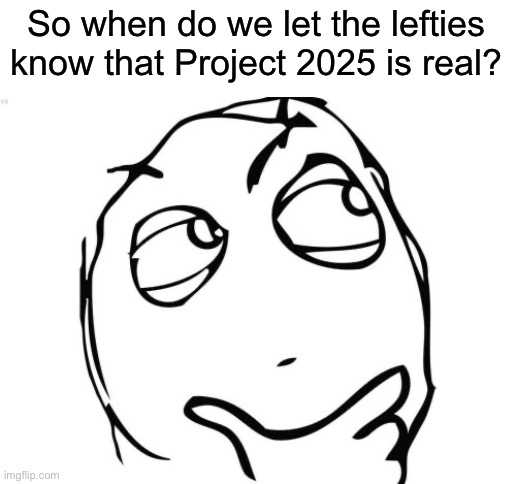 Question Rage Face | So when do we let the lefties know that Project 2025 is real? | image tagged in memes,question rage face | made w/ Imgflip meme maker