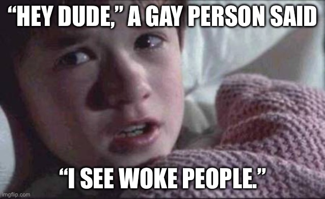 “I’m getting tired of this woke world!” - Caitlyn Jenner (from her interview at Fox News) | “HEY DUDE,” A GAY PERSON SAID; “I SEE WOKE PEOPLE.” | image tagged in memes,i see dead people,gay,woke | made w/ Imgflip meme maker